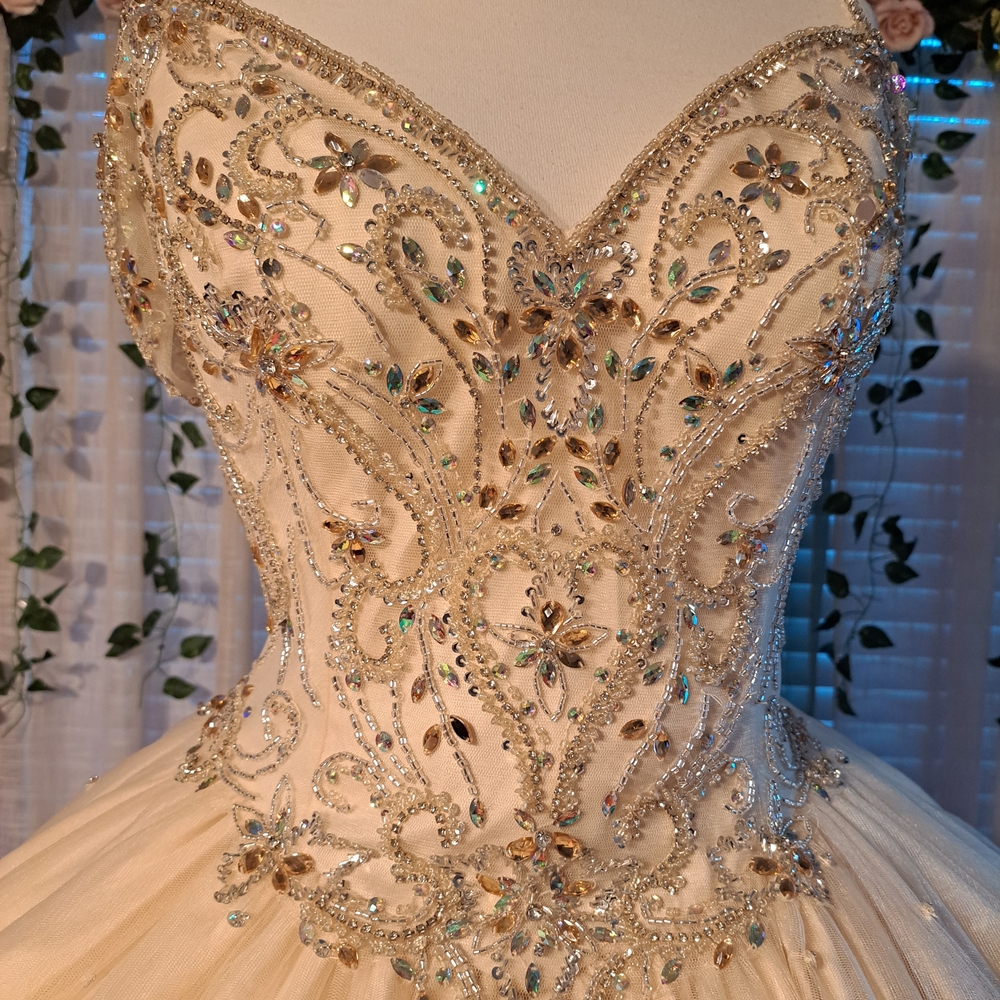 Elegant Beaded Gown Quinceañera Dress